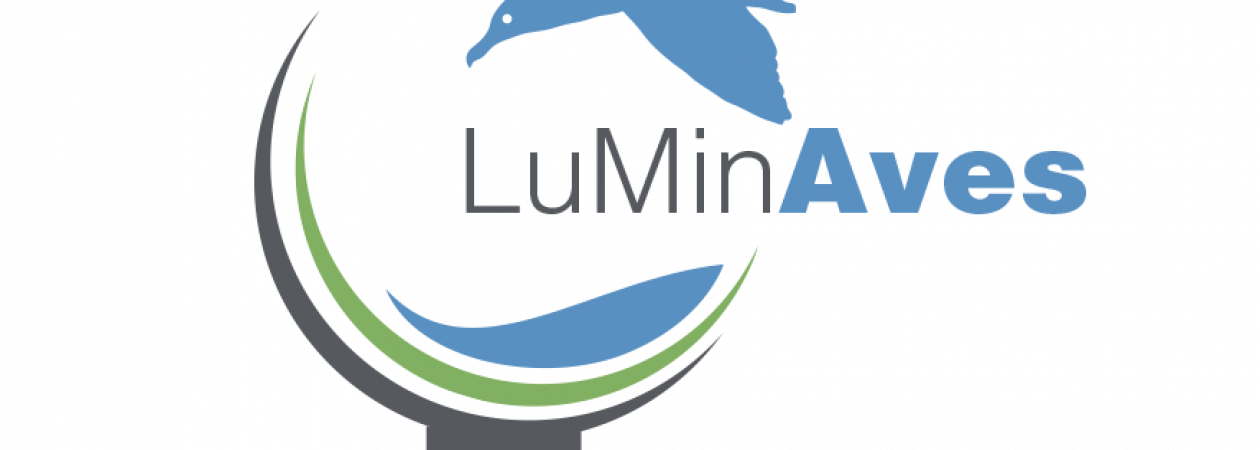 2 Logo Luminaves